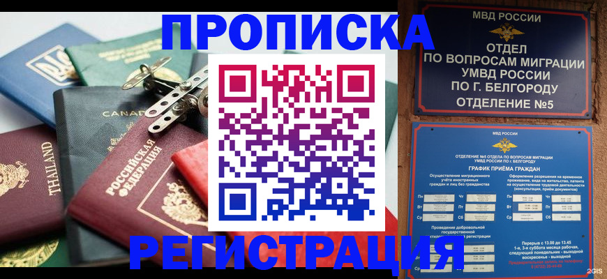 временная регистрация недорого в Новокубанске